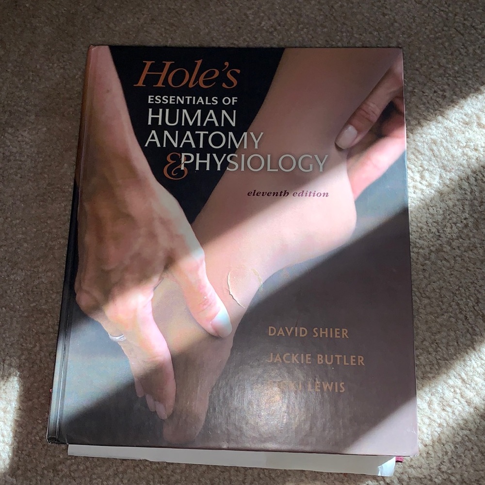 Holes essentials of human anatomy and physiology